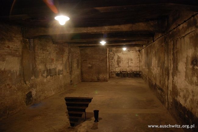 gas chambers during holocaust. Holocaust+gas+chambers+
