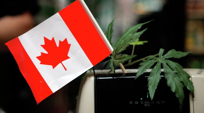 Canada’s Supreme Court Rules Medical Marijuana Legal in All Forms
